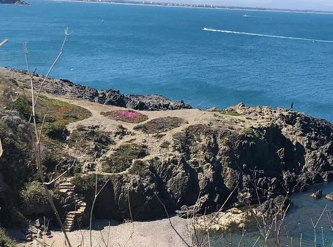 La Terrasse Port Vendres